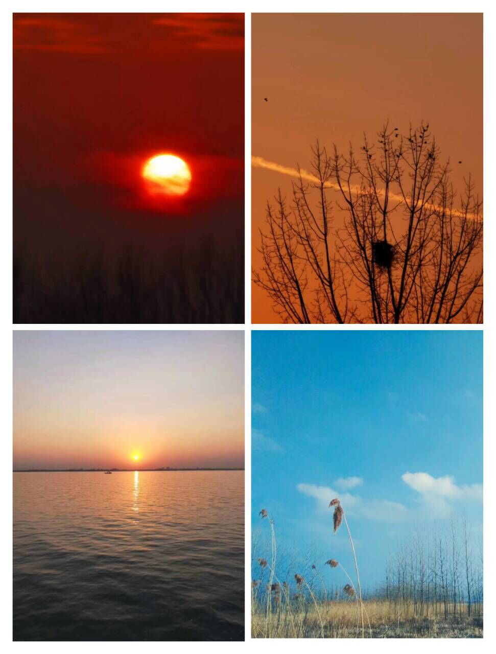 C20E068F5A3609D3A809E2C99C6_D5B139E8_CA47A.png?e= C20E068F5A3609D3A809E2C99C6_D5B139E8_CA47A.png?e=